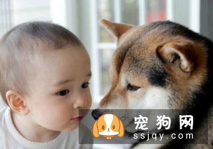 你的错误行为，决定了狗狗的坏习惯