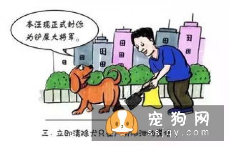 狗狗的春季管理春季是狗最易患病的季节