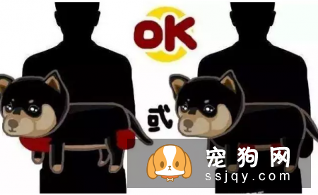 狗狗进入老年期后，腰部疾病需要预防