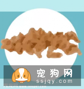 宠物健康一看“便”知!