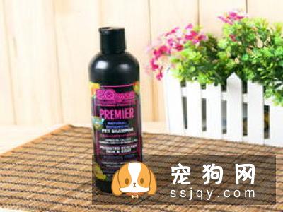 短毛狗狗的毛发护理工具及护理方法