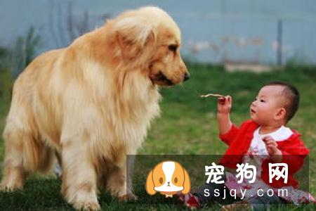 狗子乖乖吃药这件事,貌似只发生在它少不更事的时候,还会花样拒绝你