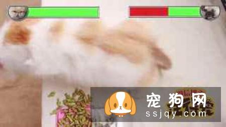 指甲太长的危害-家居装修问答
