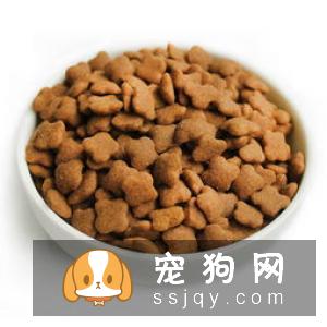 【狗狗肠胃炎发病原因】