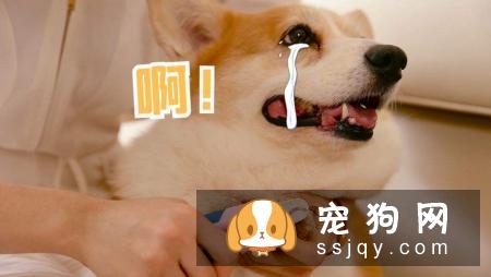 指甲太长的危害-家居装修问答