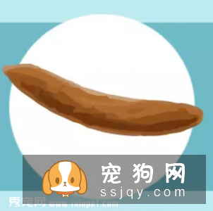 宠物健康一看“便”知!