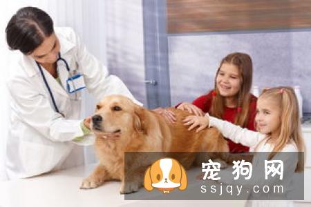 除了带毛孩到宠物医院或诊所定期检查外,主人在日常生活中应当多留意毛孩的身体状