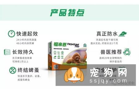 关于狗狗驱虫：闷热潮湿的8月份，是什么1变100？