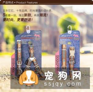 带狗狗出行，应该如何正确的牵引狗狗