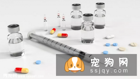 宠物过多的接种疫苗对它的身体健康有影响！