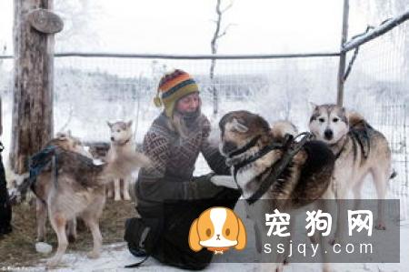 小狗怎么养，有什么需要注意的地方？