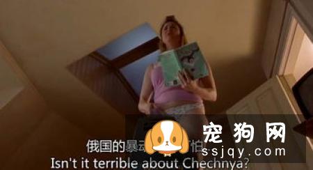 狗狗产后护理，是头等大事 不可忽视！