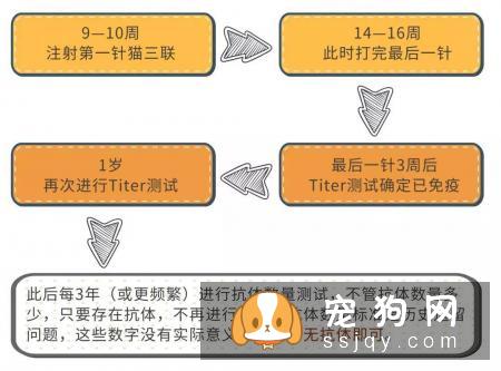 宠物过多的接种疫苗对它的身体健康有影响！