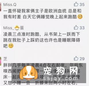 养宠常遇到的10个大坑，合格的铲屎官需了解！