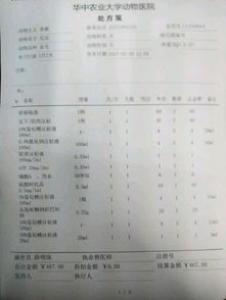 宠物和人一样也会晕车,这与自身体质和心理作用都有一定的关系