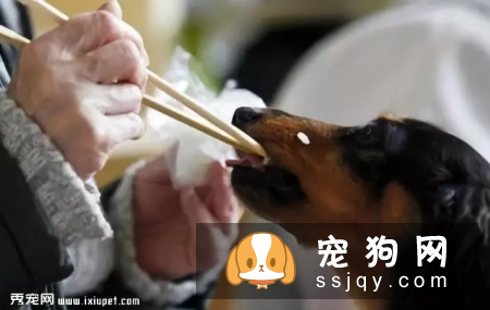 狗狗吃肝脏的好处促进狗狗的食欲肝脏味道大多数是“微甜”