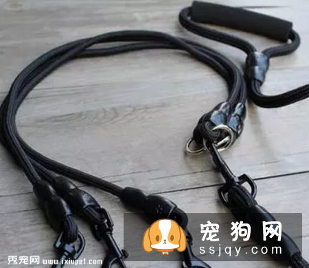 如何给狗狗挑选合适的牵引绳?