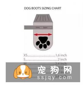 狗狗到底该不该穿鞋？