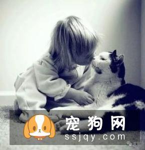 宠物呼吸麻醉是怎么回事？如何看待麻醉风险?
