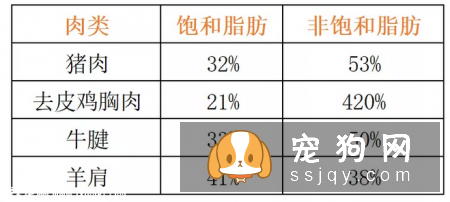 狗狗不能吃猪肉？这个说法是错误的！
