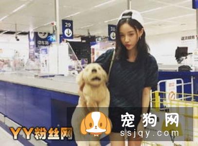 主人认为的让宠物更美丽,实则跟虐待有什么两样?