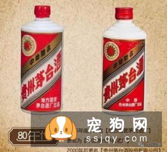 怎么判断狗狗变老，狗狗变老有什么特征