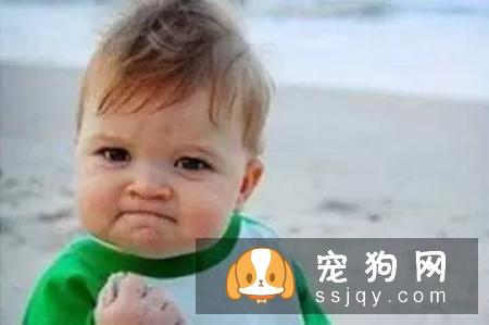 这九句话也许让你对宠物美容有更深刻的理解