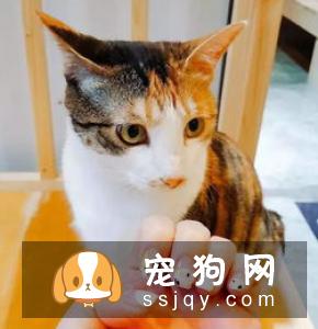 指甲太长的危害-家居装修问答