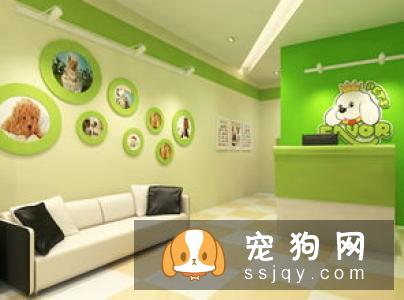 宠物这几个常见病，你知道如何预防吗?