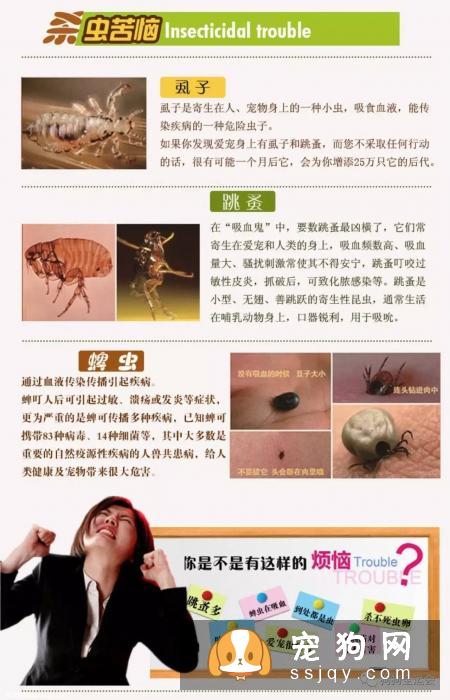 关于狗狗驱虫：闷热潮湿的8月份，是什么1变100？