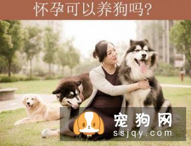 孕妇可以养宠物吗，孕期怎么避免感染弓形虫?