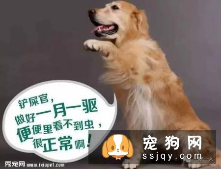 养狗误区：狗狗如果不出门就可以不用驱虫