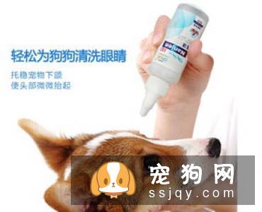 怎样给狗狗喂药水