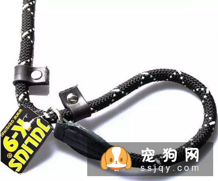 如何给狗狗挑选合适的牵引绳?