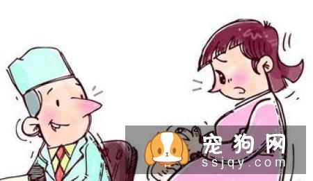 宠物呼吸麻醉是怎么回事？如何看待麻醉风险?