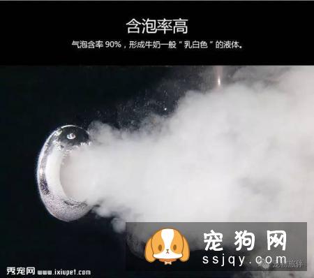 专业宠物SPA，远不止是“泡澡、按摩”那么简单