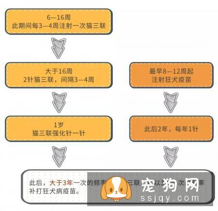 宠物过多的接种疫苗对它的身体健康有影响！