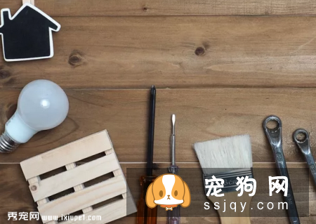 家具装潢对宠物身体有害吗？