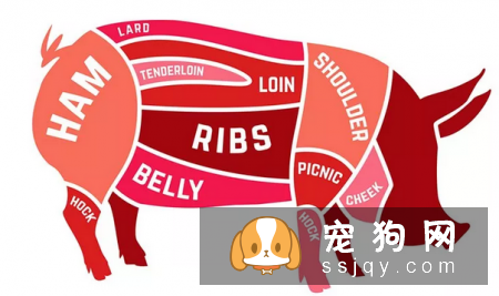 狗狗不能吃猪肉？这个说法是错误的！