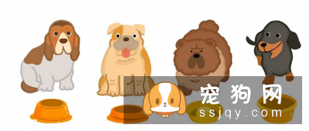 宠物罐头能否长期食用？