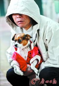 宠物会患抑郁症吗，有什么现状？主人的抑郁对宠物有何影响？