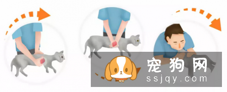 简单的心肺复苏术，在关键时候能救宠物们的命