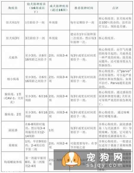 宠物过多的接种疫苗对它的身体健康有影响！
