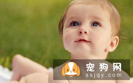 如何诊断宠物过敏，宠物过敏有什么症状？