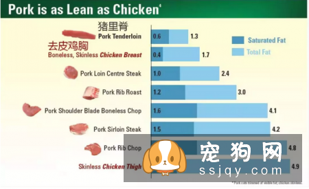 狗狗不能吃猪肉？这个说法是错误的！