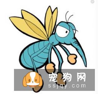 荷兰研究证实给宠物喂食生肉会对宠物造成威胁