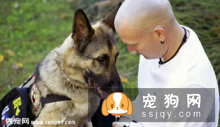 狗狗为什么会得创伤后应激障碍