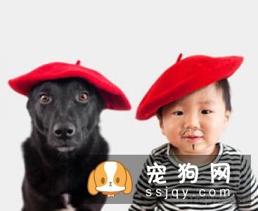 狗狗感冒病,防患于未然!