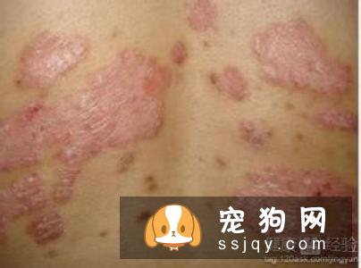 阿拉斯加皮肤病怎么治疗和预防？