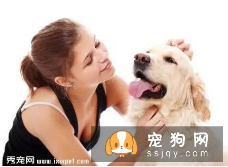 狗狗护食行为太可怕，几招轻松改掉！